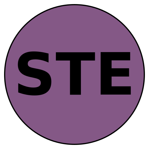 Savvy Travel Experts